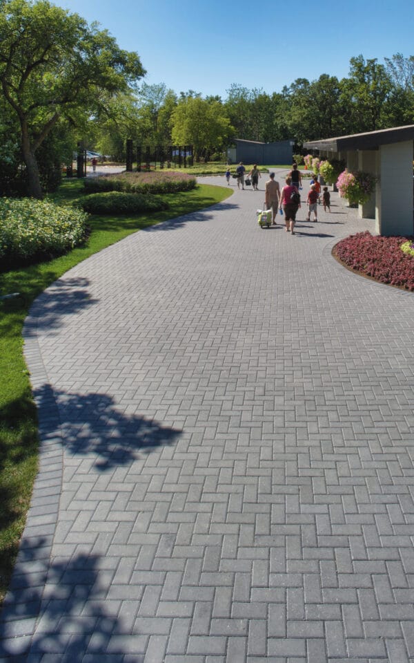 Rochester Holland - Image 4